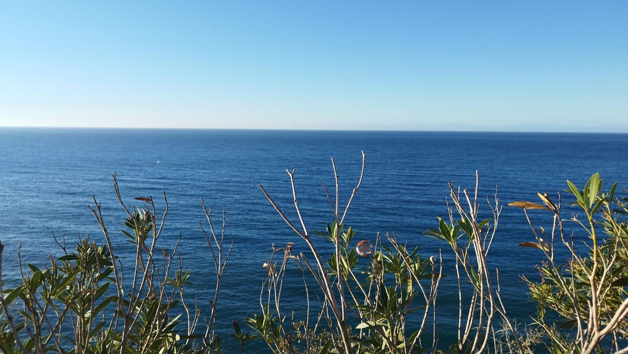 Vistas De Ensueno Junto Al Mar Lejlighed Almuñécar Eksteriør billede